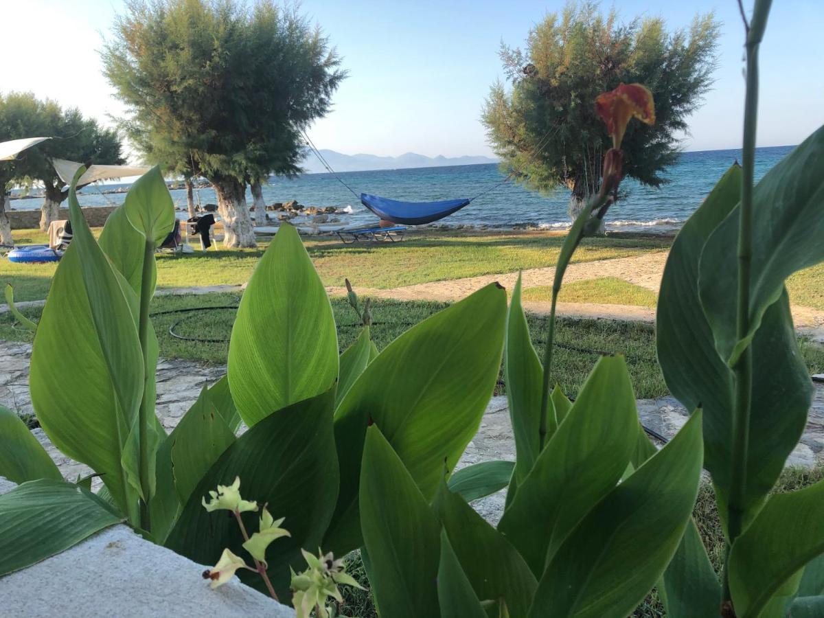 Diomare Villas Kypseli Dış mekan fotoğraf